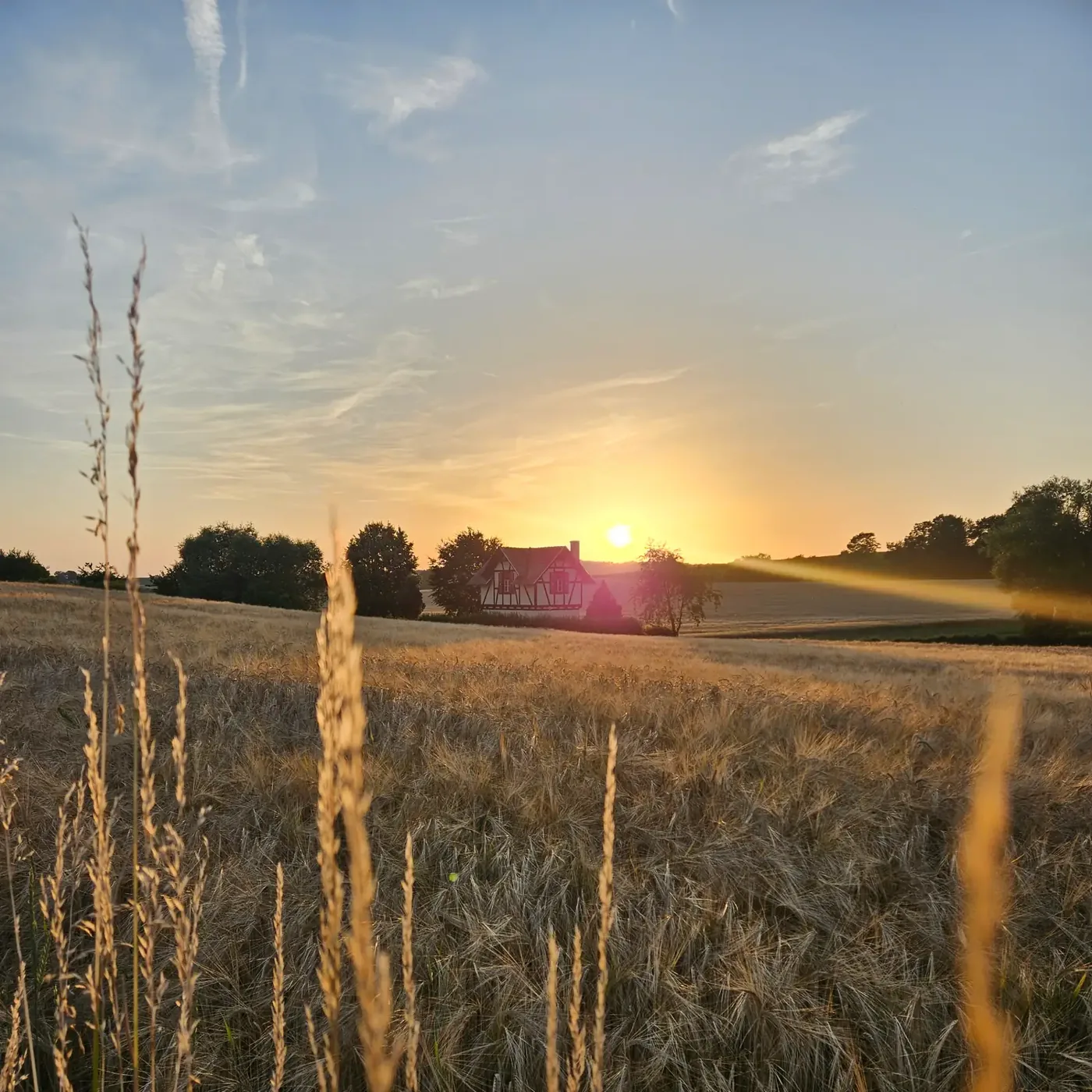 Sonnenaufgang über Stegaurach
