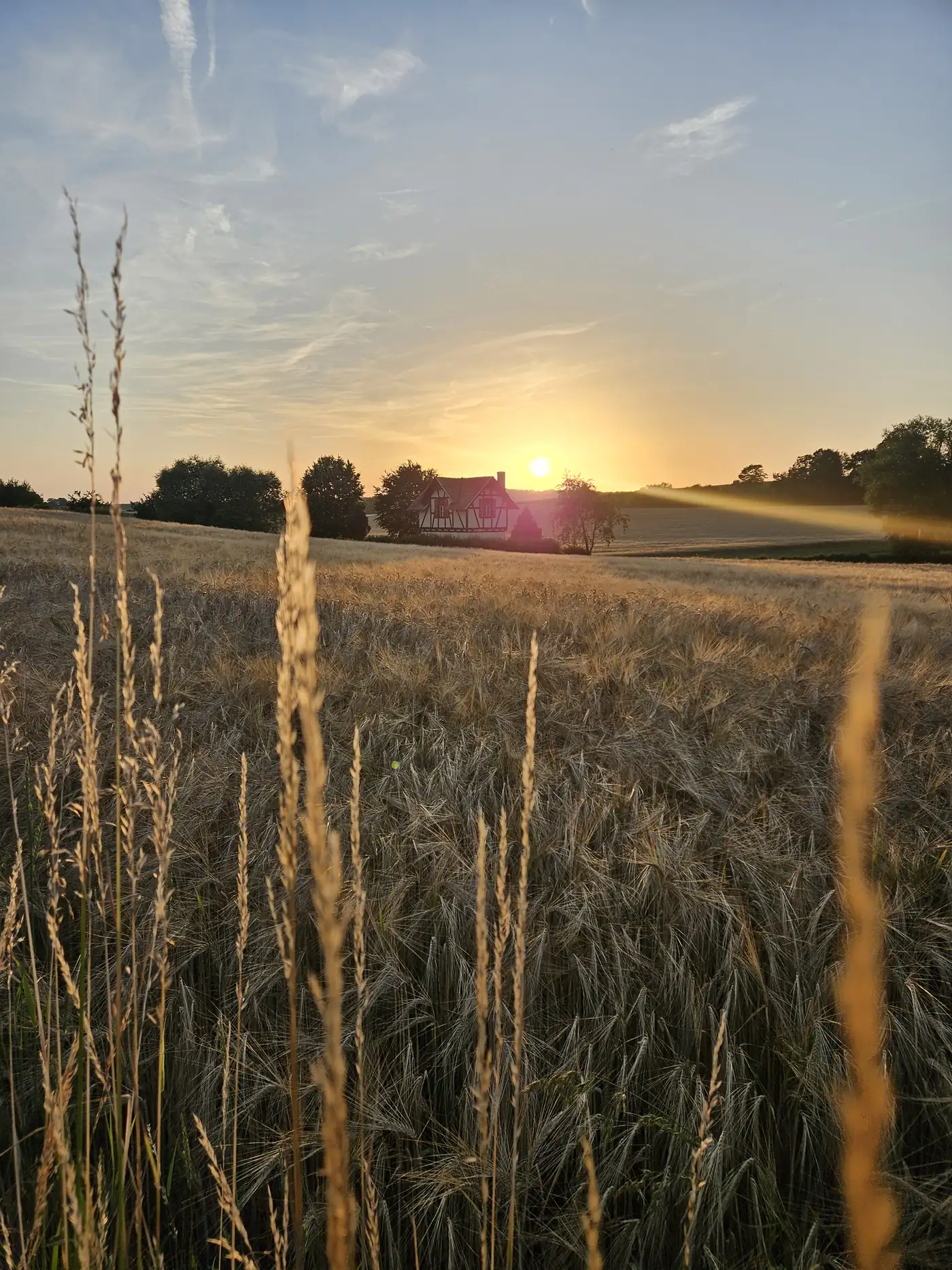 Sonnenaufgang über Feldern bei Stegaurach